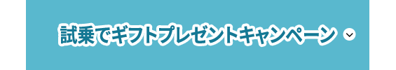 試乗でギフトプレゼントキャンペーン