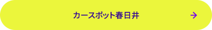 カースポット春日井