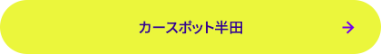 カースポット半田